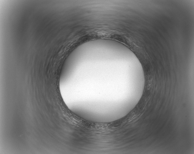 X0000078831249200612041804