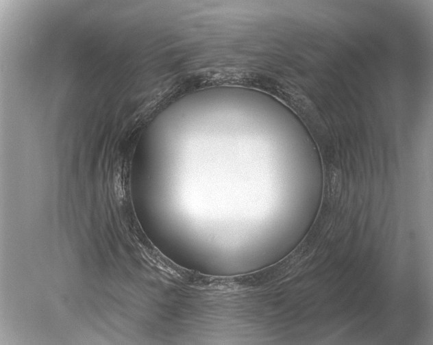 X0000078831250200612041804