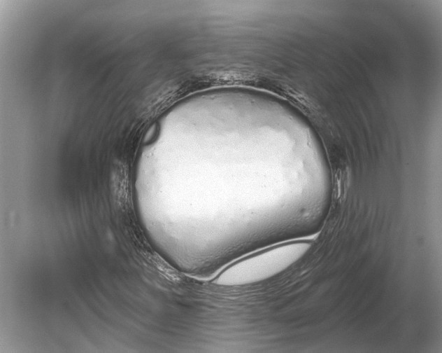 X0000078831251200612041804