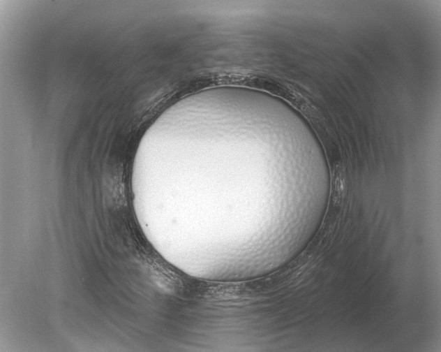 X0000078831252200612041804