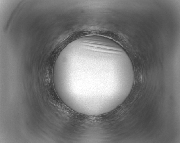 X0000078831253200612041804