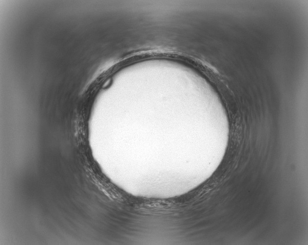 X0000078831255200612041804