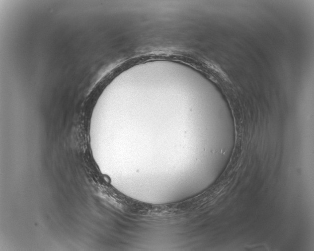 X0000078831256200612041804