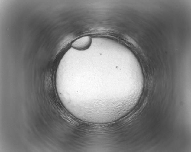 X0000078831259200612041804