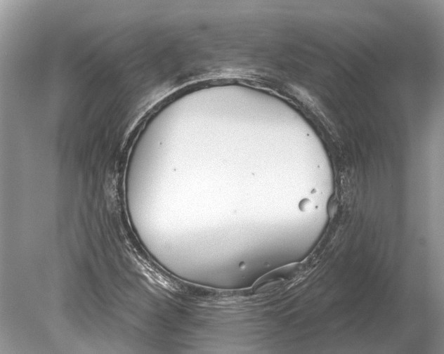 X0000078831260200612041804