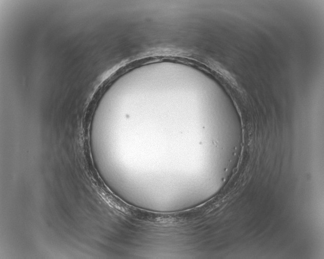 X0000078831264200612041804