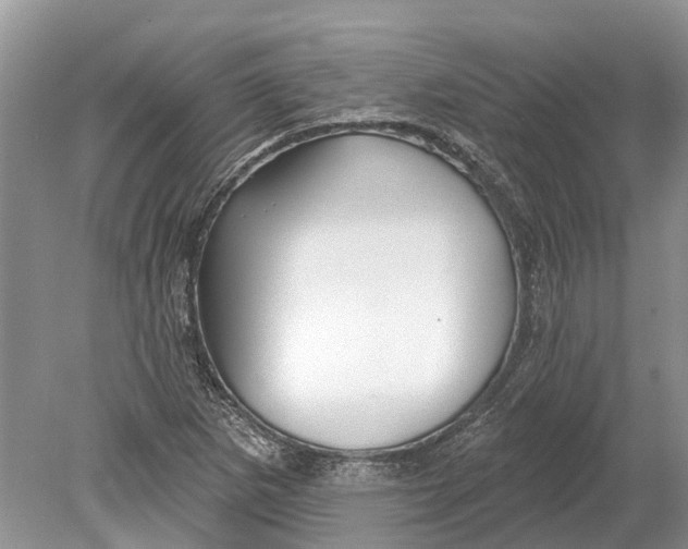 X0000078831265200612041804