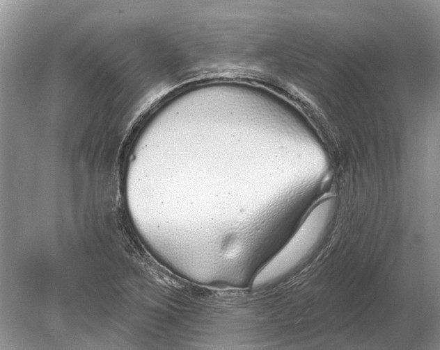 X0000078831267200612041804