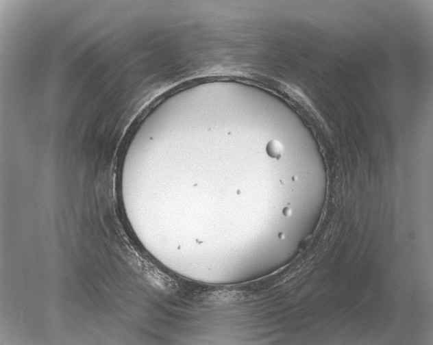 X0000078831268200612041804