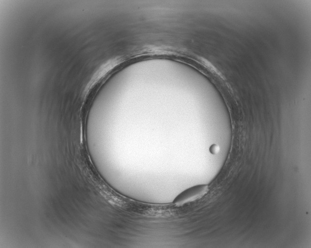 X0000078831269200612041804