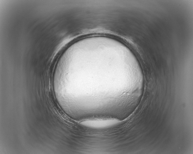 X0000078831271200612041804