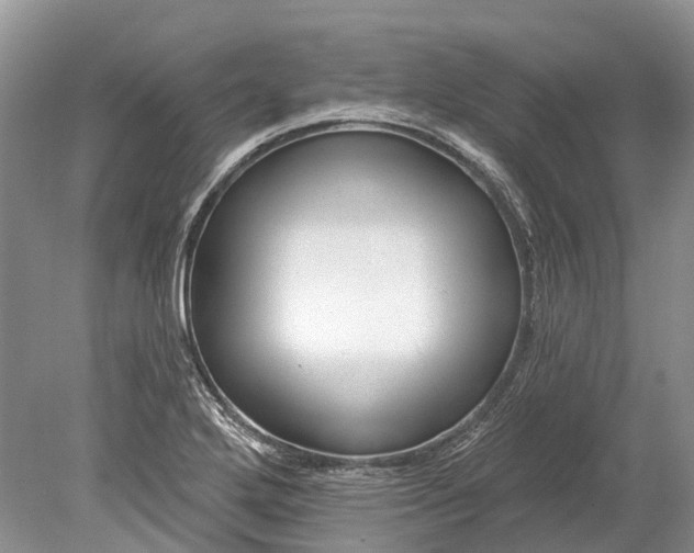 X0000078831272200612041804