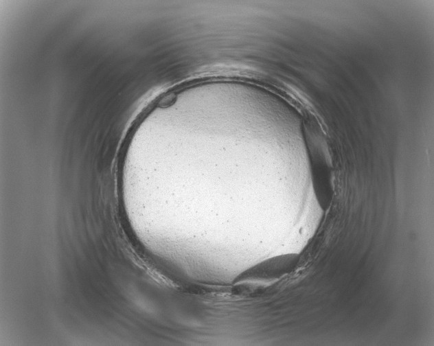 X0000078831275200612041804