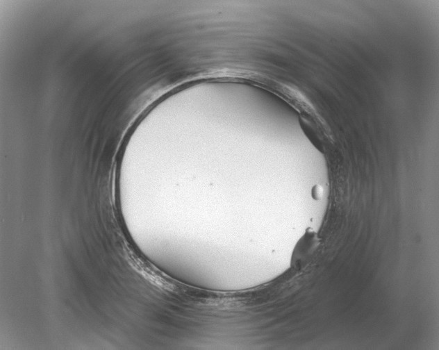 X0000078831276200612041804