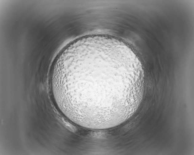 X0000078831278200612041803