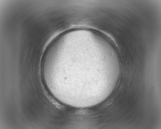 X0000078831279200612041803