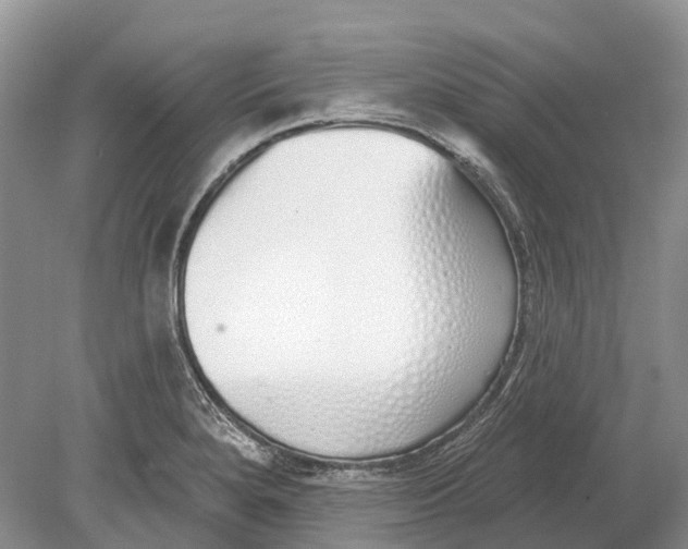 X0000078831280200612041803