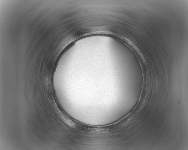 X0000078831281200612041803