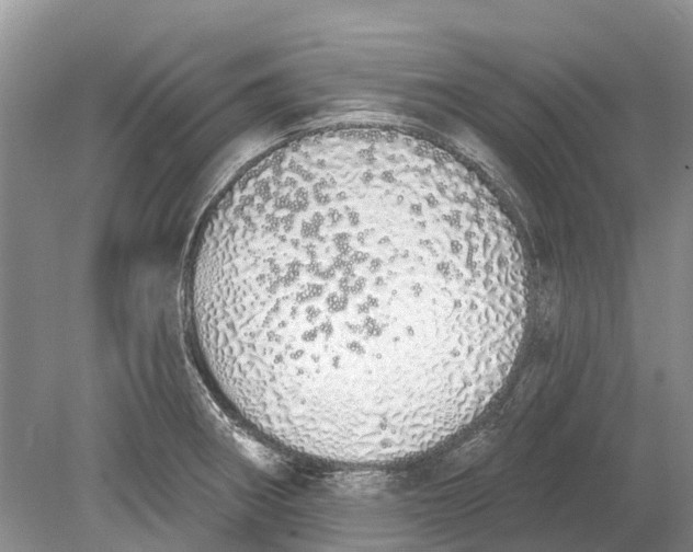 X0000078831282200612041803