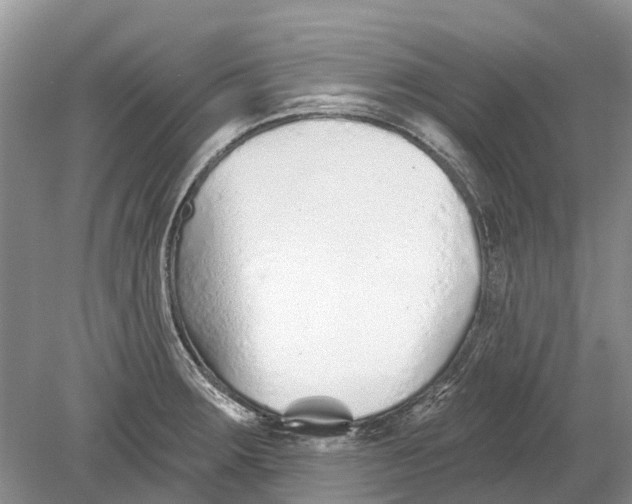 X0000078831283200612041803