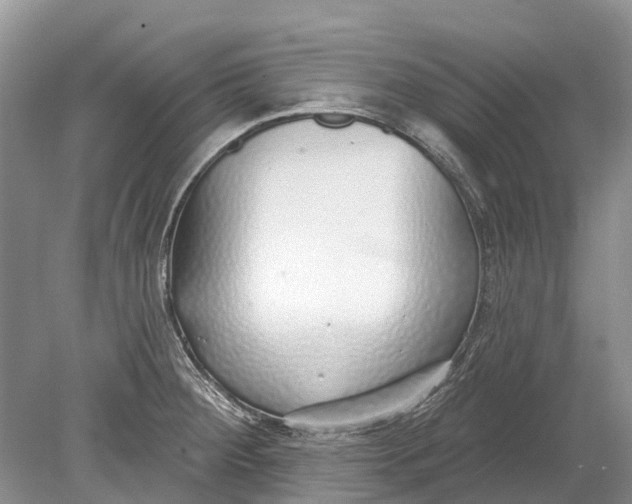 X0000078831284200612041803