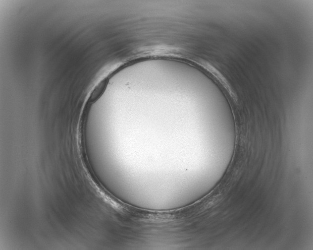 X0000078831285200612041803