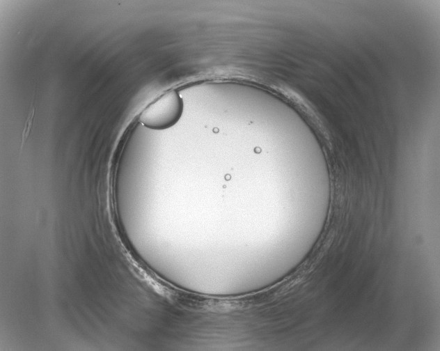 X0000078831286200612041803