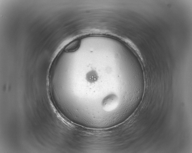 X0000078831287200612041803