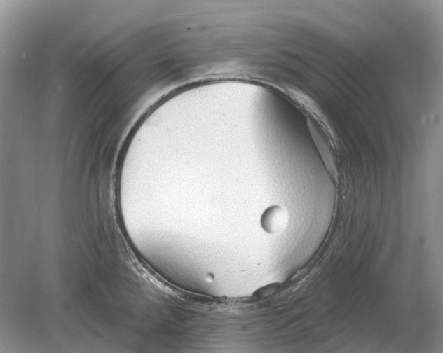 X0000078831288200612041803