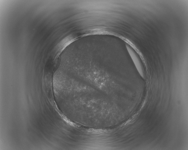 X0000078831289200612041803