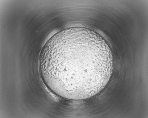 X0000078831290200612041803