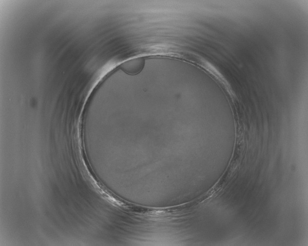 X0000078831291200612041803