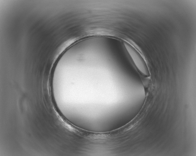 X0000078831293200612041803