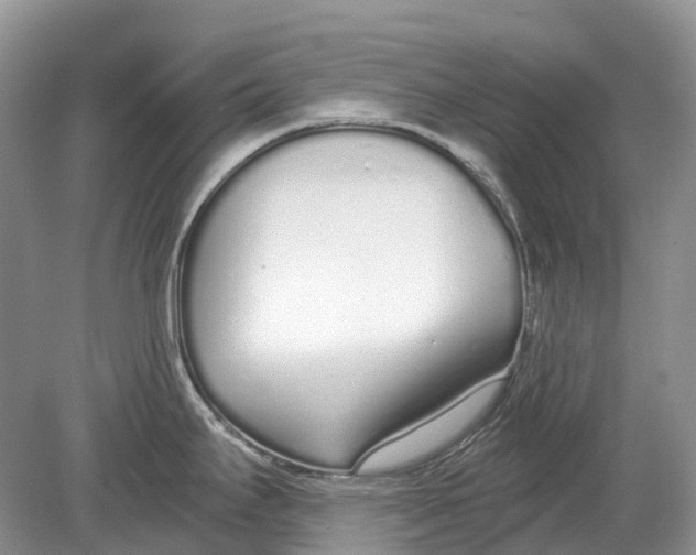 X0000078831295200612041803