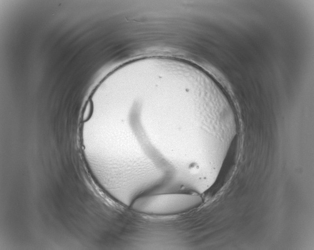 X0000078831296200612041803