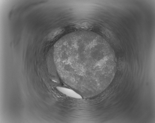 X0000078831297200612041802