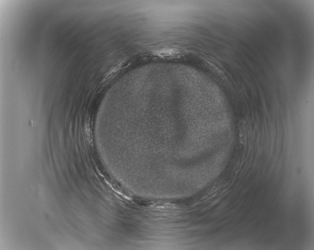 X0000078831298200612041802