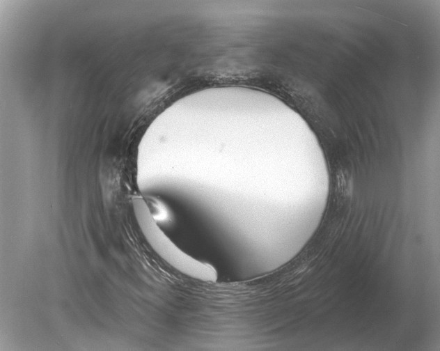 X0000078831300200612041802