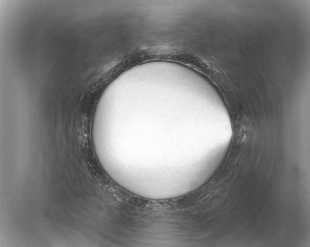 X0000078831301200612041802