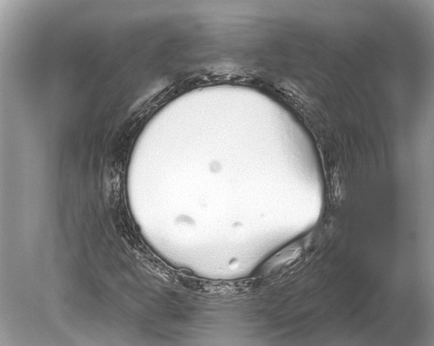 X0000078831302200612041802