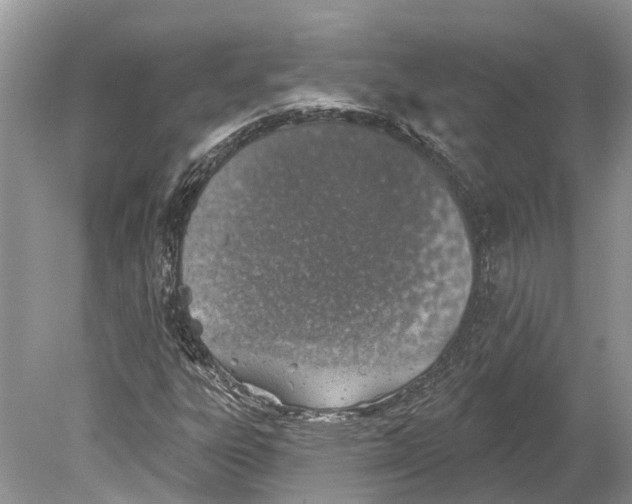 X0000078831303200612041802