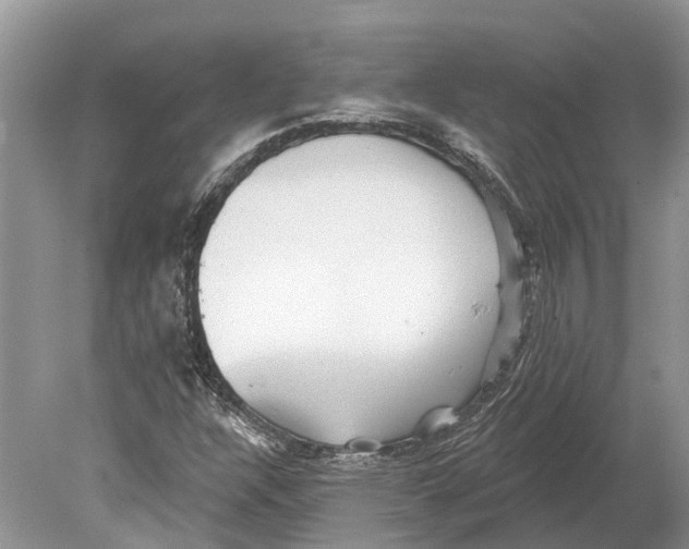 X0000078831304200612041802