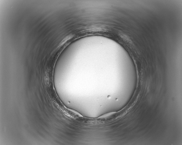 X0000078831305200612041803