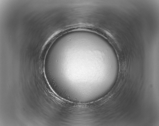 X0000078831310200612041803