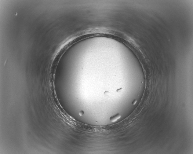 X0000078831312200612041803