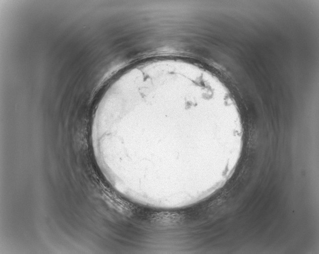 X0000078831314200612041803