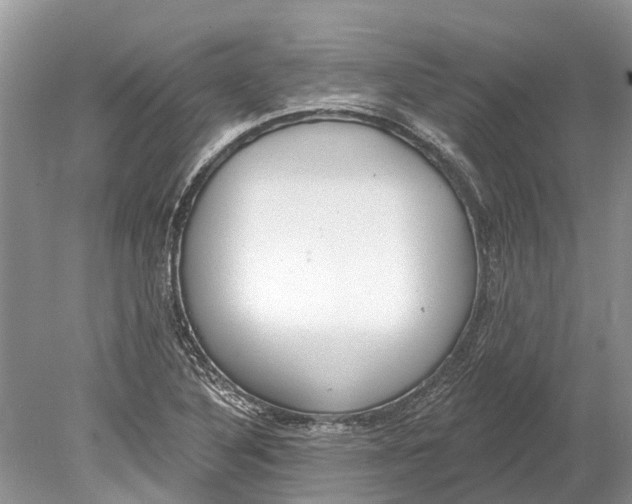 X0000078831316200612041803