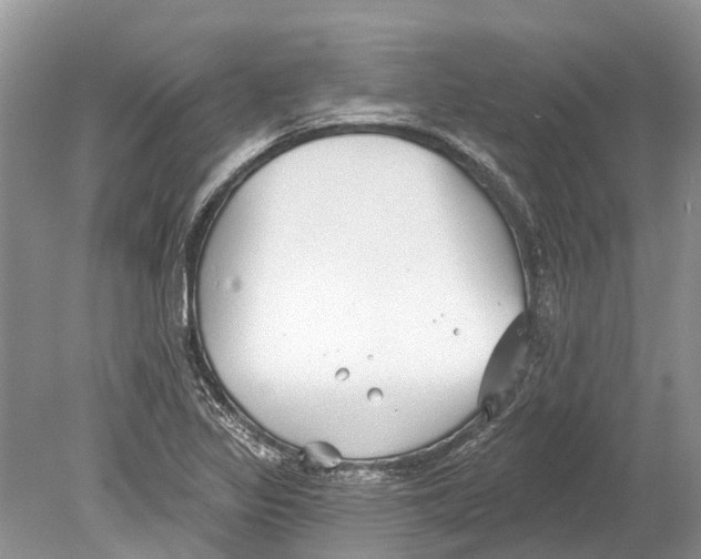 X0000078831317200612041803