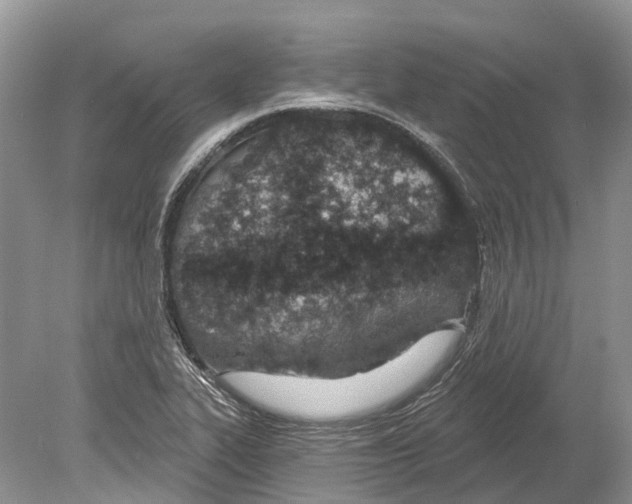 X0000078831319200612041803