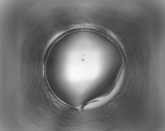 X0000078831320200612041803